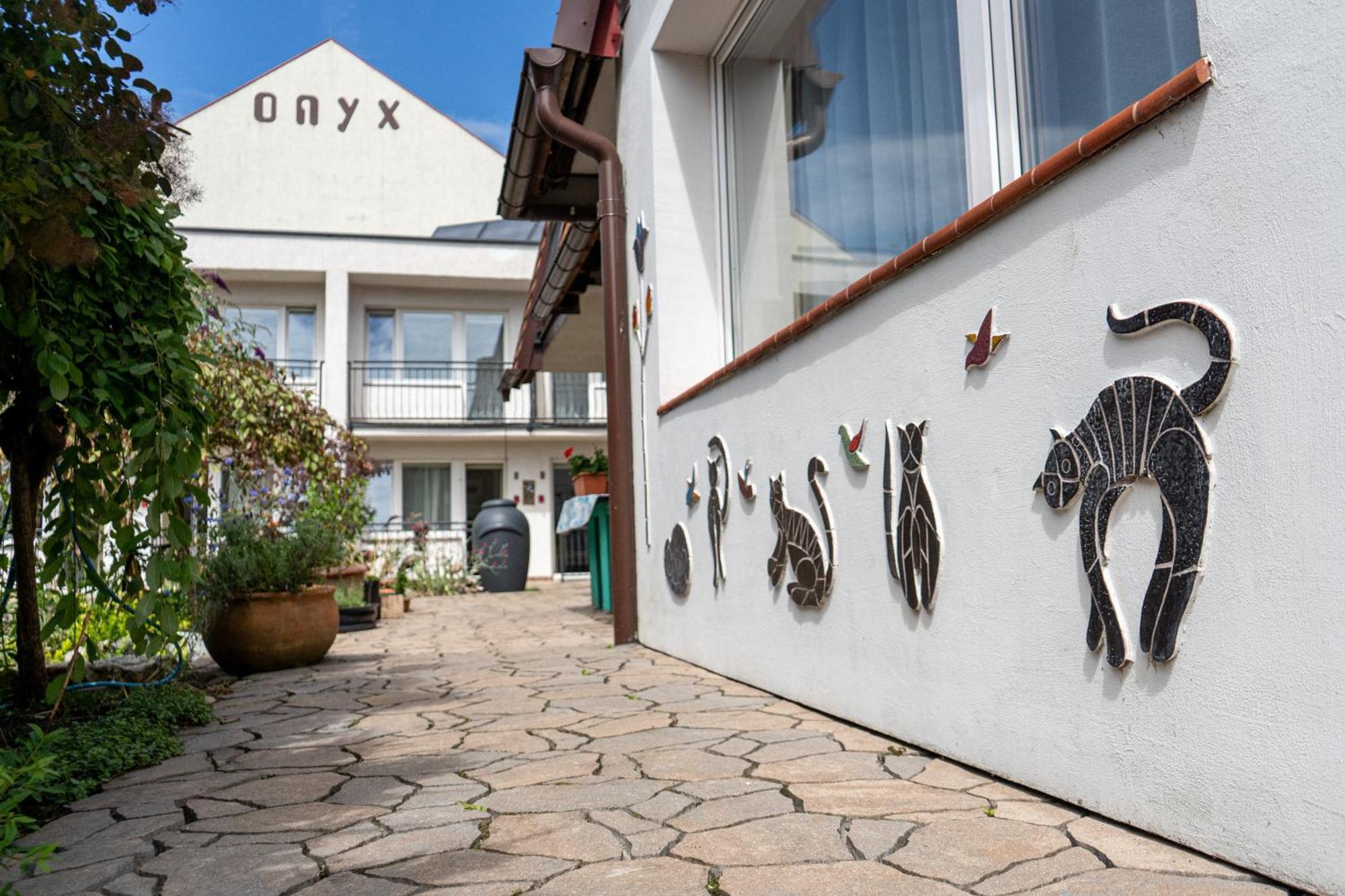 Agra Zielony Ogrod Homestay *